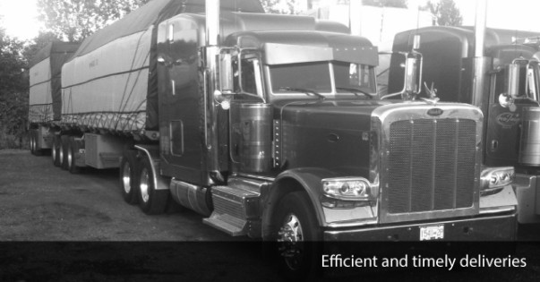 Efficient and timely deliveries